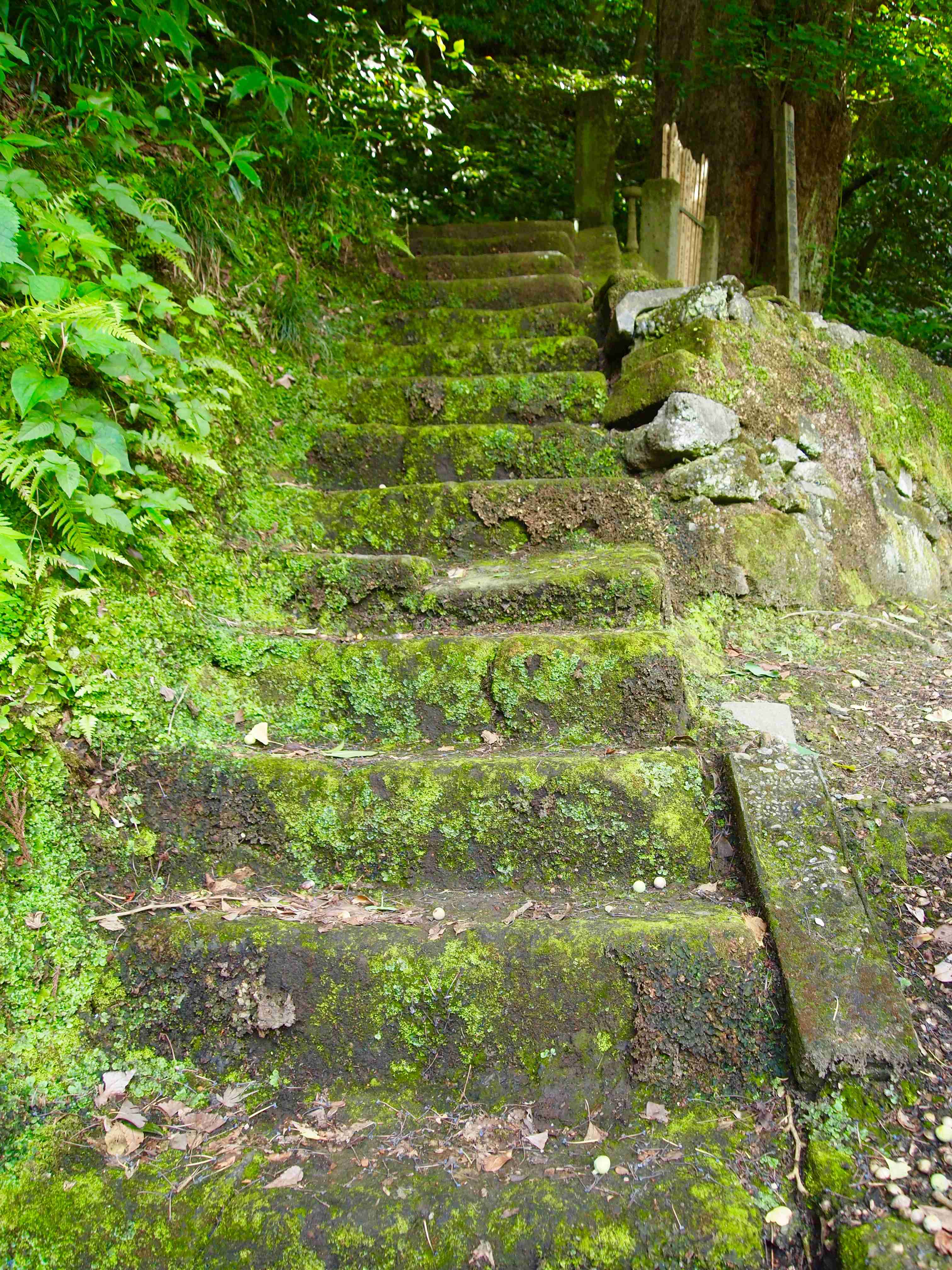 🏯 구품사 (구혼지/구본지) 이미지 3
